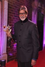 Amitabh Bachchan at Stardust Awards 2013 red carpet in Mumbai on 26th jan 2013 (643).JPG